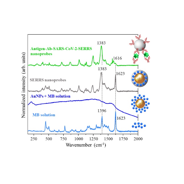 Immunoassay platform with surface-enhanced resonance Raman scattering for detecting trace levels of SARS-CoV-2 spike protein.
