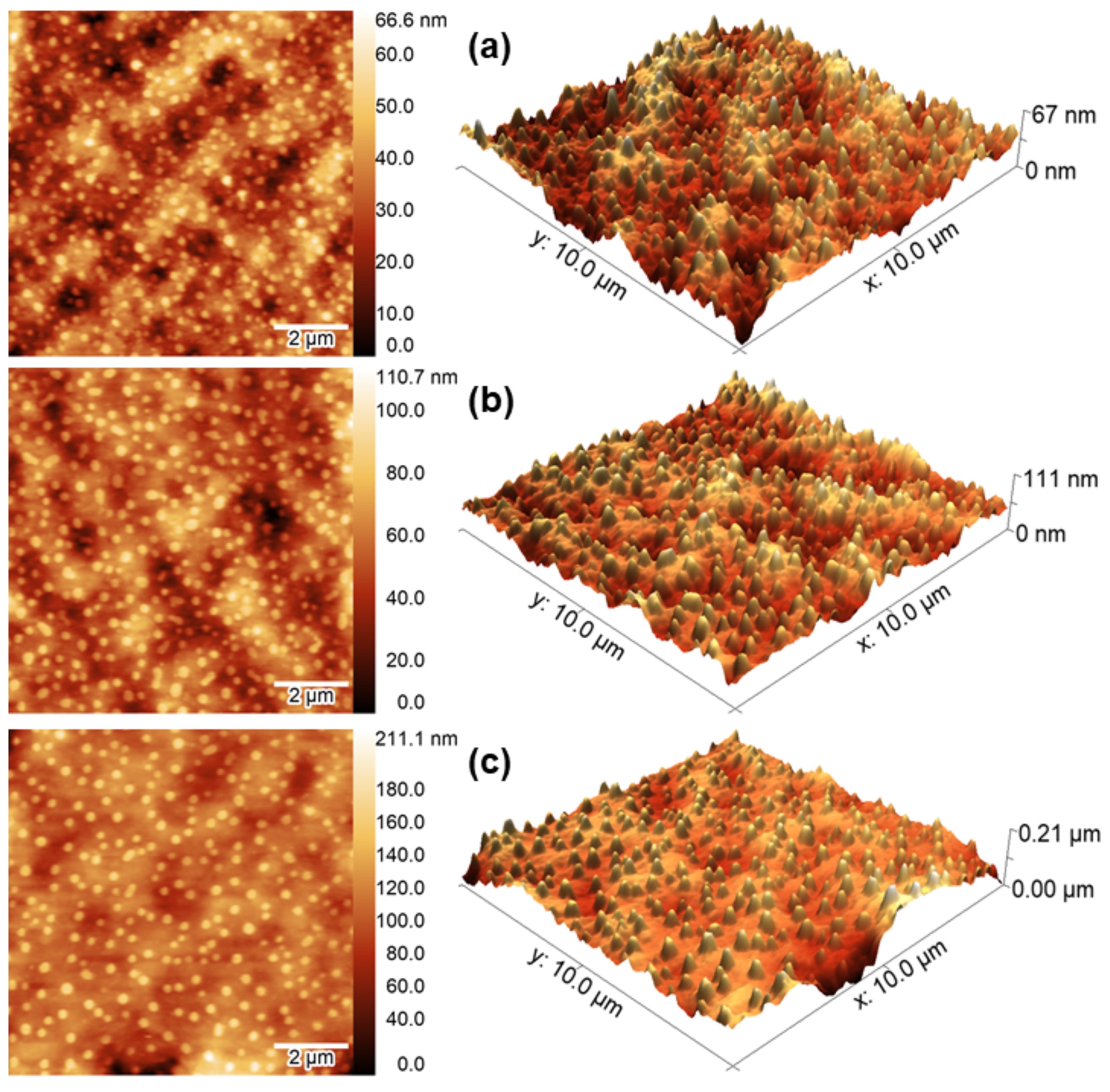 Three-dimensional nanoscale morphological surface analysis of polymeric particles containing Allium sativum essential oil.