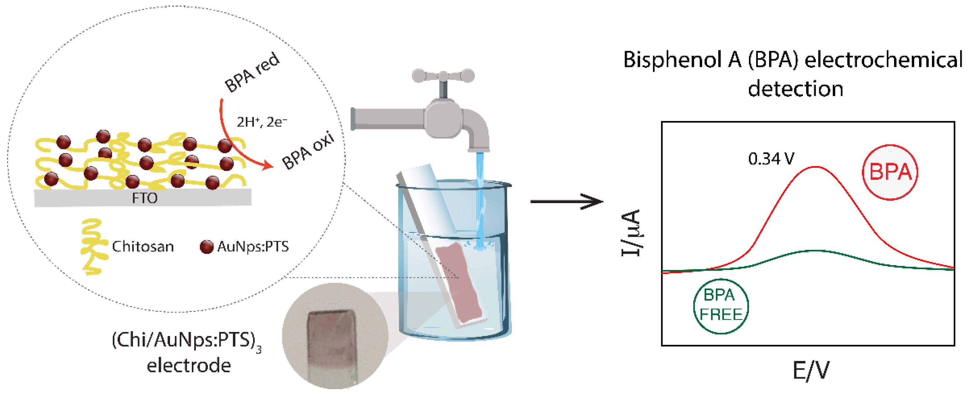 Chitosan/gold nanoparticles nanocomposite film for bisphenol A electrochemical sensing.