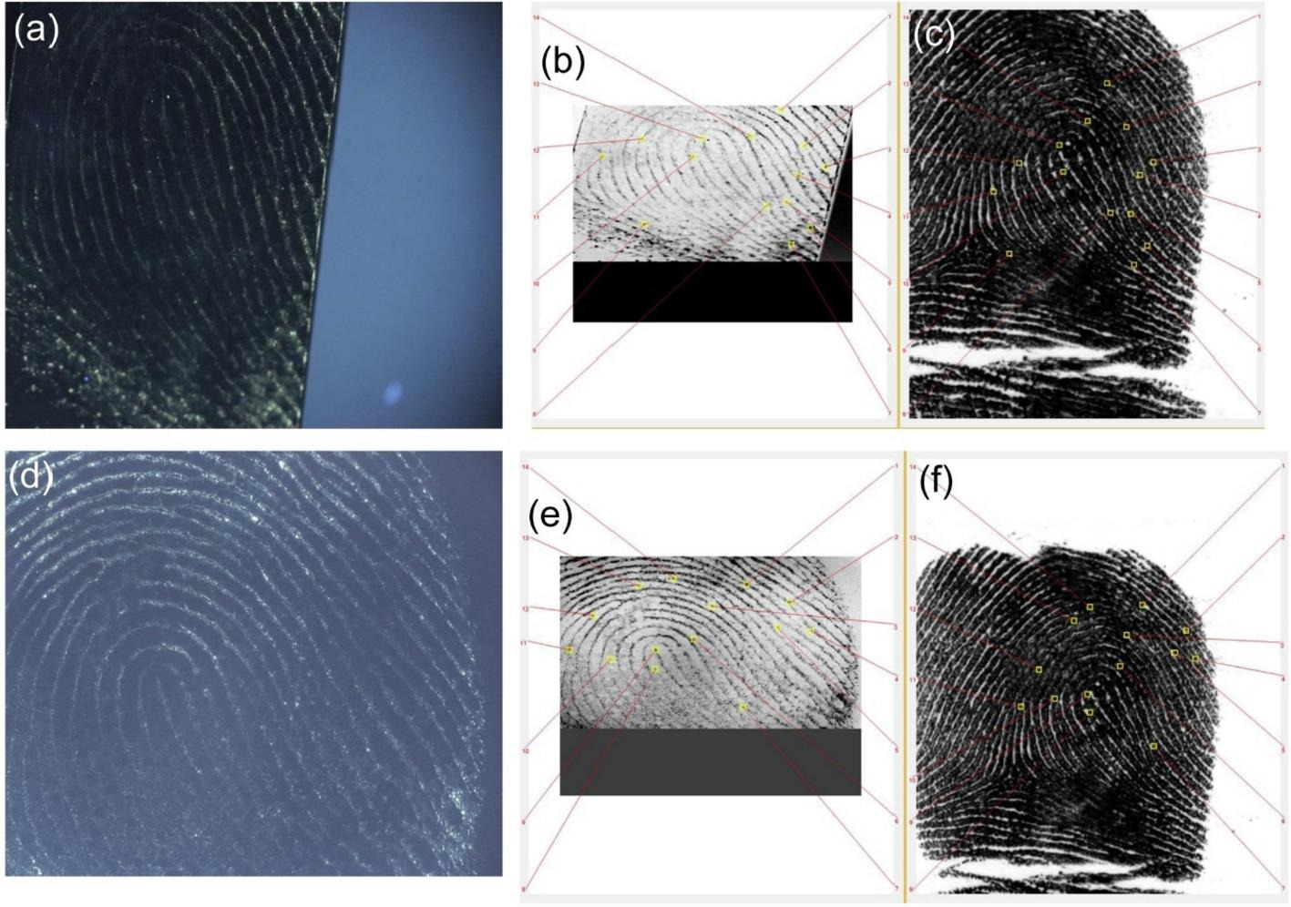 Amorphous calcium phosphate nanoparticles allow fingerprint detection via self-activated luminescence.
