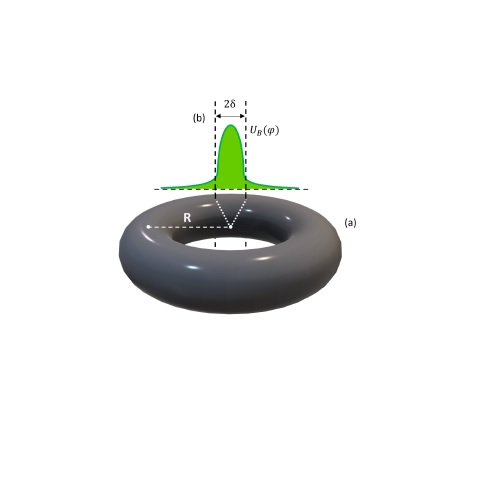 Josephson-like oscillations in toroidal spinor Bose-Einstein condensates: a prospective symmetry probe.