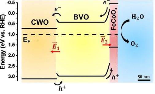 Ternary oxide CuWO4/BiVO4/FeCoOx Films for photoelectrochemical water oxidation: insights into the electronic structure and interfacial band alignment.