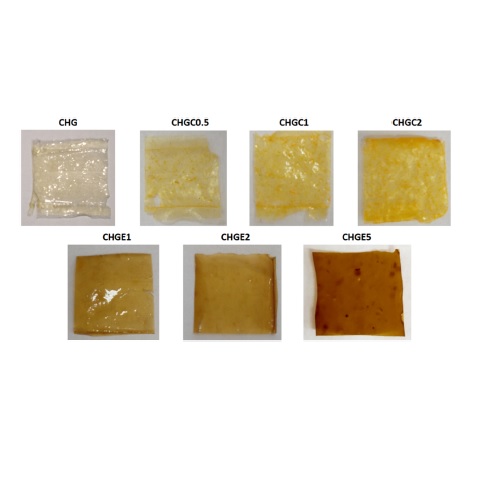 Preparation and characterization of curcumin and pomegranate peel extract chitosan/gelatin-based films and their photoinactivation of bacteria.
