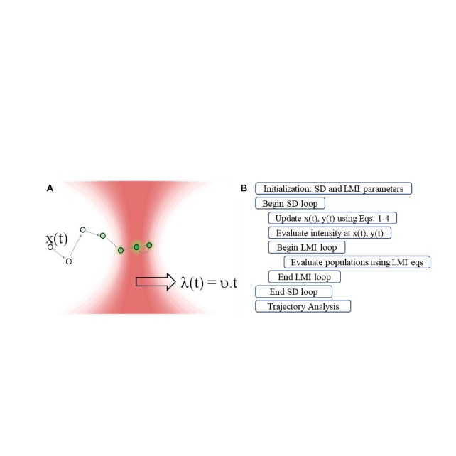 Spectroscopic characterization of rare events in colloidal particle stochastic thermodynamics.