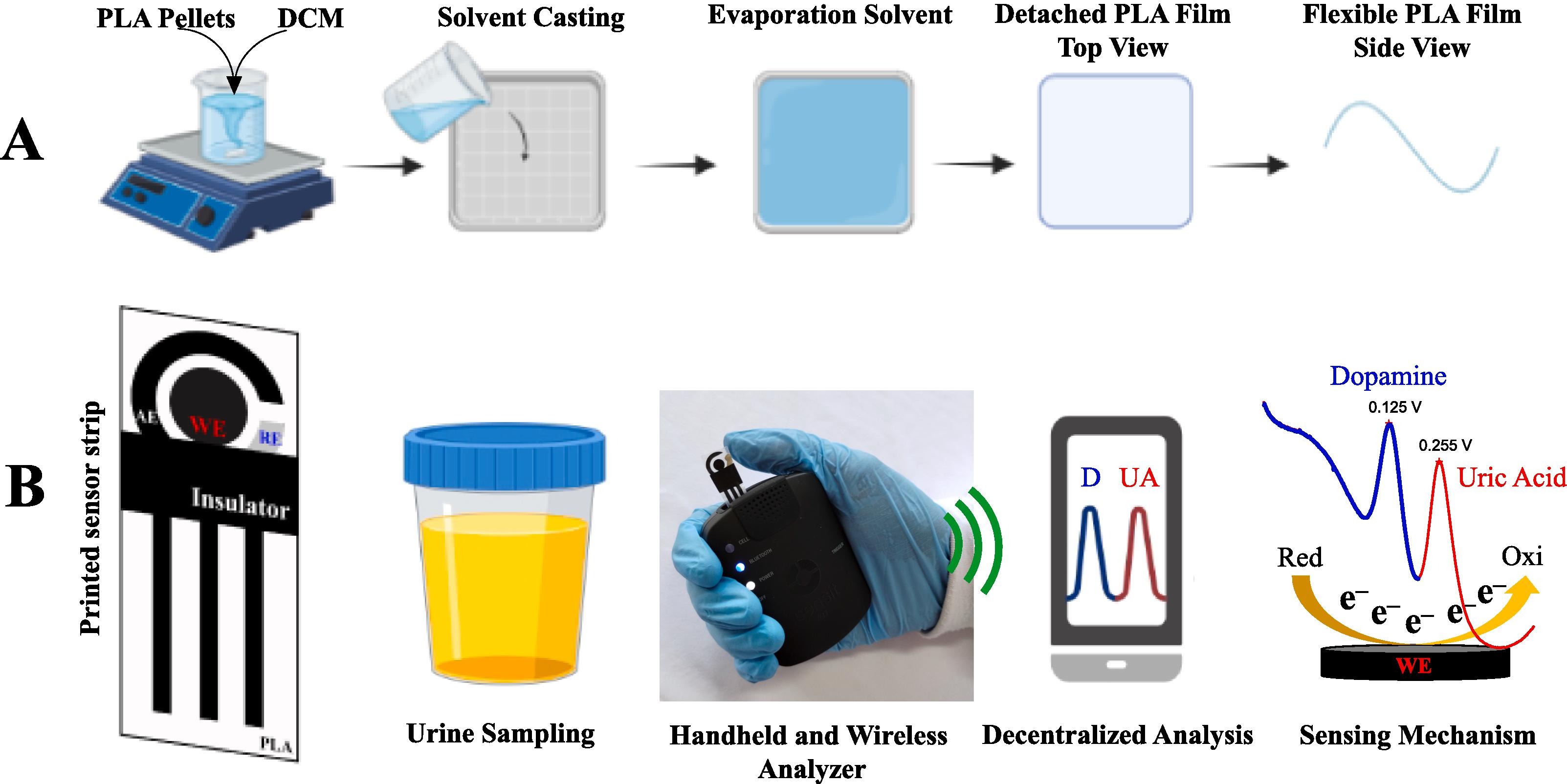 Flexible and sustainable printed sensor strips for on-site, fast decentralized self-testing of urinary biomarkers integrated with a portable wireless analyzer.
