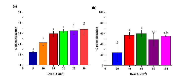 Photoantimicrobial chitosan-gelatin-pomegranate peel extract films for strawberries preservation: from microbiological analysis to in vivo safety assessment.