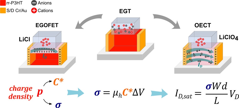 Distinctive behavior of field-effect and redox electrolyte-gated organic transistors.