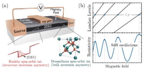 Beating-free quantum oscillations in two-dimensional electron gases with strong spin-orbit and Zeeman interactions.