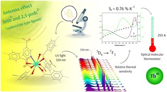Intensity and lifetime ratiometric luminescent thermometer based on a Tb(iii) coordination polymer.