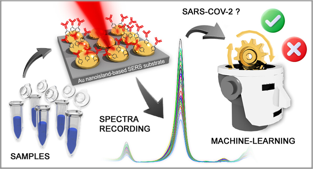 Explainable machine learning to unveil detection mechanisms with au nanoisland-based surface-enhanced raman scattering for SARS-CoV-2 antigen detection.