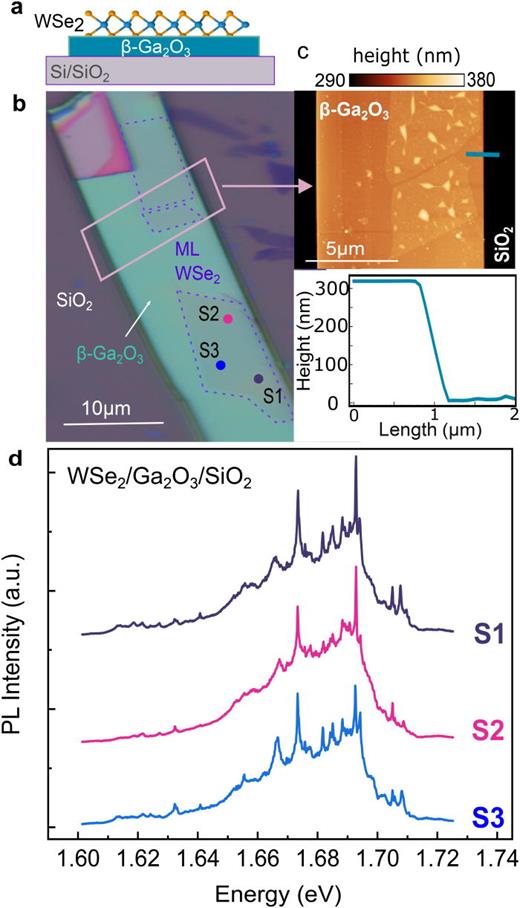 Revealing localized excitons in WSe2/ß-Ga2O3.