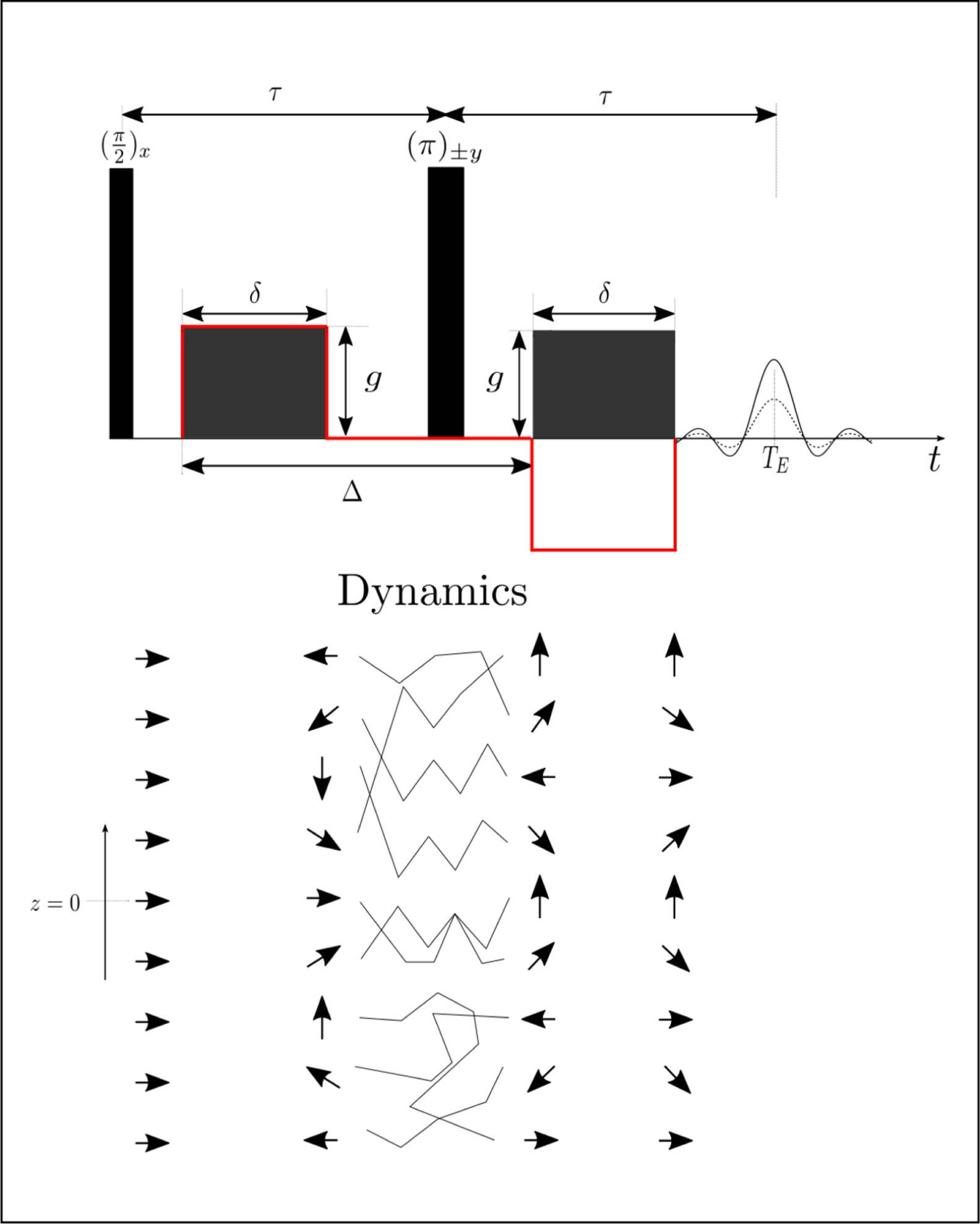 NMR diffusion in restricted environment approached by a fractional Langevin model.