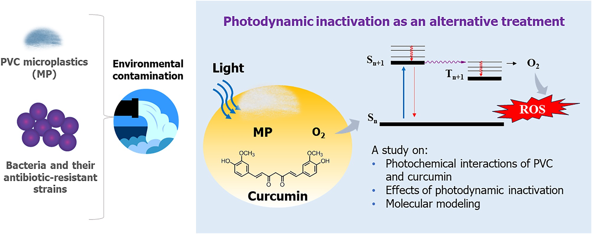 Impact of PVC microplastics in photodynamic inactivation of Staphylococcus aureus and MRSA.