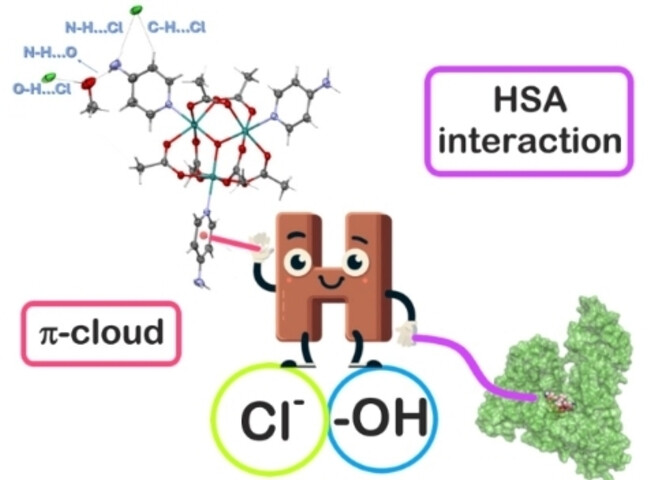 Water-soluble µ-oxo triruthenium compound of biological interest: H-bonds network and interaction with HSA.