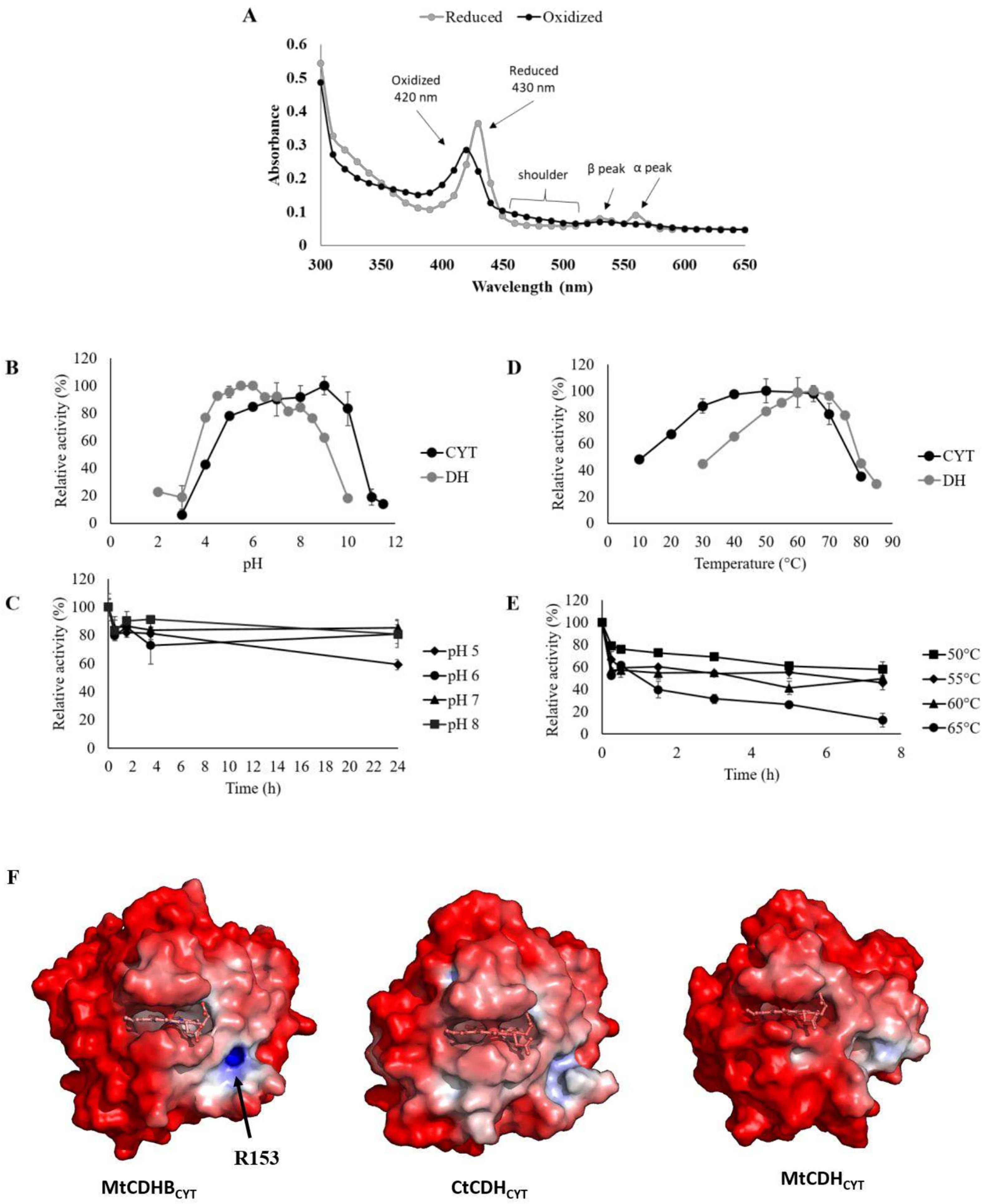 Recombinant cellobiose dehydrogenase from thermothelomyces thermophilus: its functional characterization and applicability in cellobionic acid production.