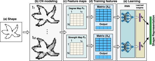 Learning a complex network representation for shape classification.