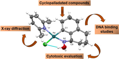 Oxime-derived palladacycles bearing 2,6-lutidine: synthesis, cytotoxicity evaluation and interactions with biomolecules.