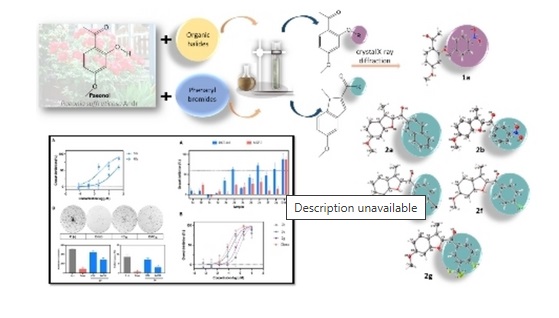 Synthesis of cytotoxic benzofurans and ethers derivatives of paeonol.