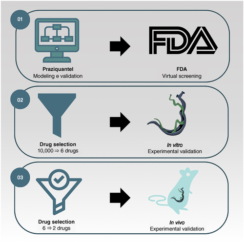 The 3D pharmacophore modeling to explore new antischistosomal agents among US FDA approved drugs.