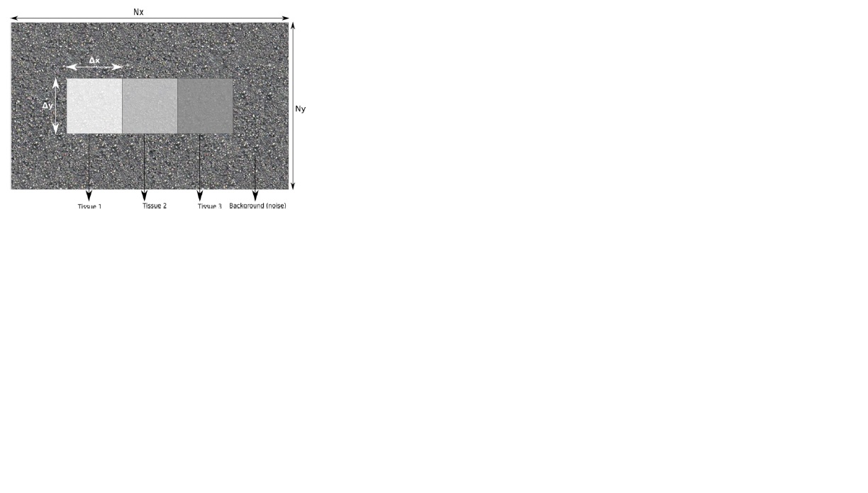 The influence of b-values, noise levels, range of parameters, and ROI characteristics on the bi-exponential IVIM model and its fitting methods.