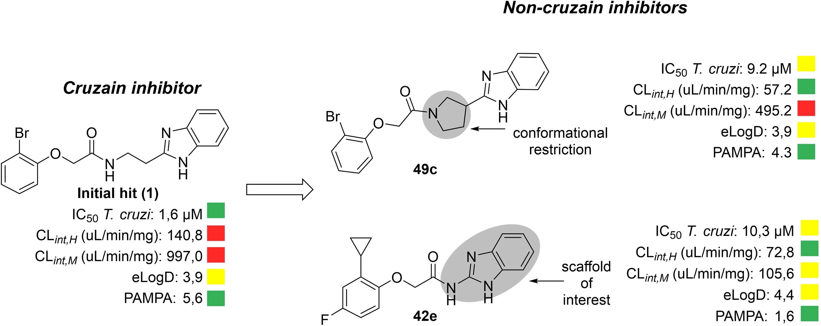 Structure-metabolism relationships of benzimidazole derivatives with anti-Trypanosoma cruzi activity for Chagas disease.