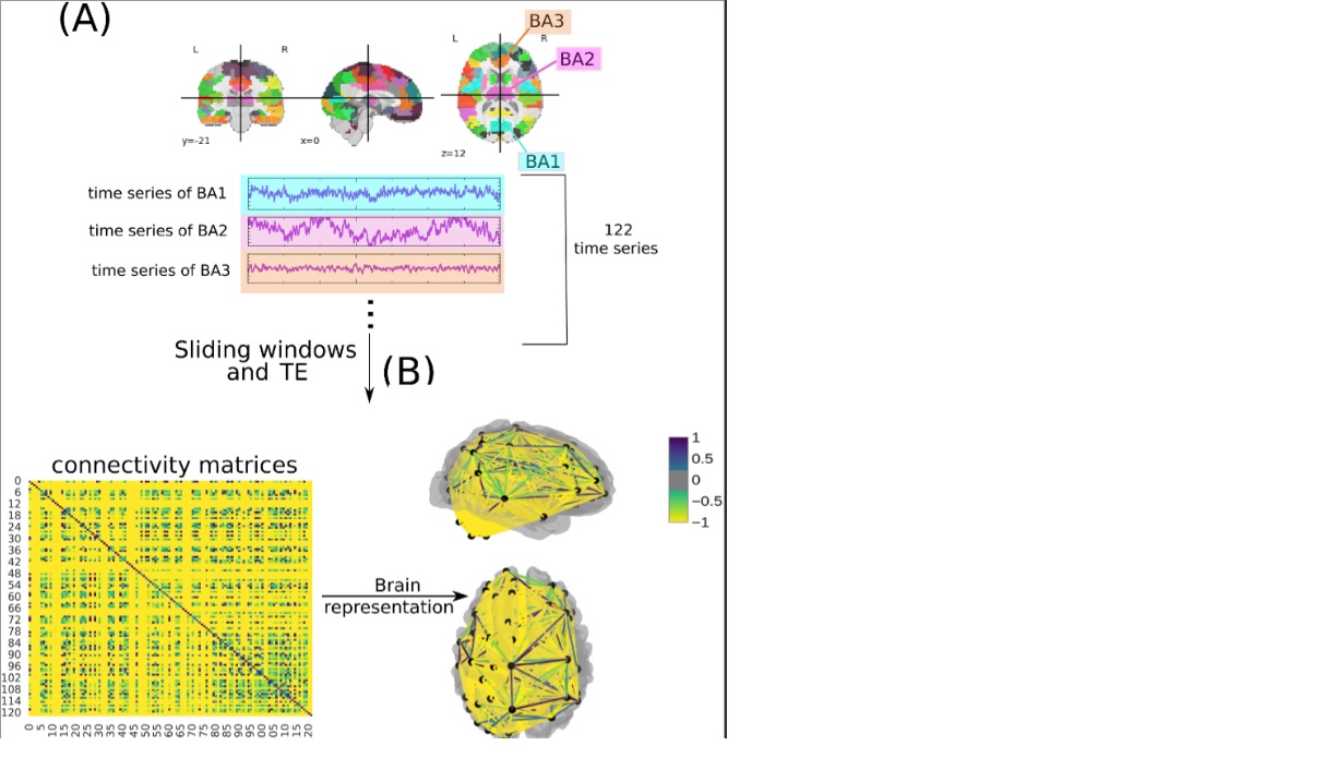 Multiclass classification of autism spectrum disorder, attention deficit hyperactivity disorder, and typically developed individuals using fMRI functional connectivity analysis.