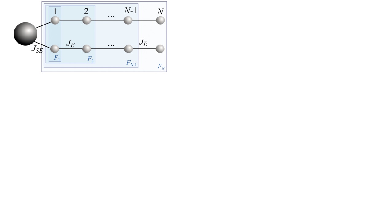 System-environment quantum information flow.