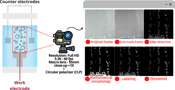 Beyond bubbles: unraveling the interfacial pH effects on bubble size distribution.