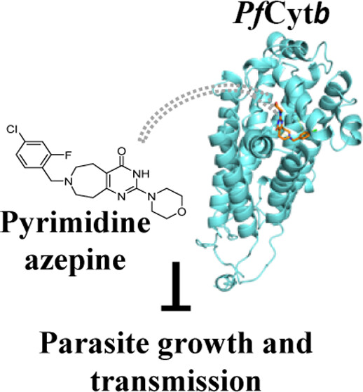 Pyrimidine azepine targets the plasmodium bc1 complex and displays multistage antimalarial activit.