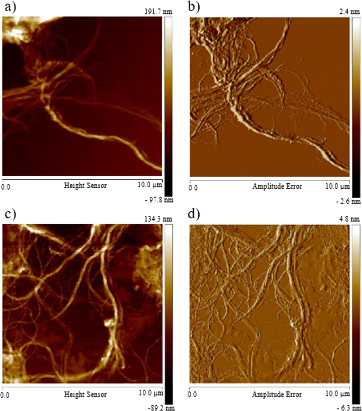 Chemical functionalization of cellulose nanofibrils with 2-aminoethyl hydrogen sulfate.