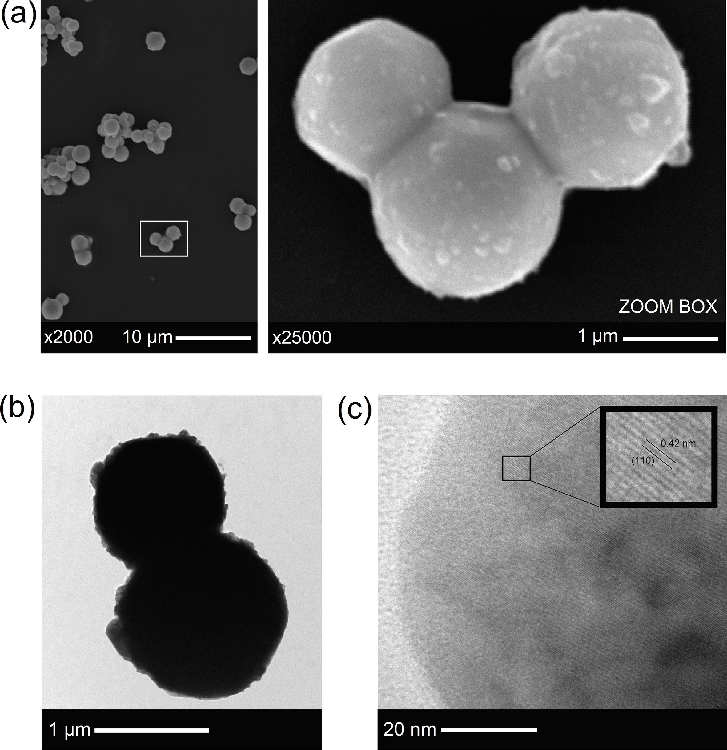 BaZrO3 and its application as a photocatalyst for rhodamine B removal.