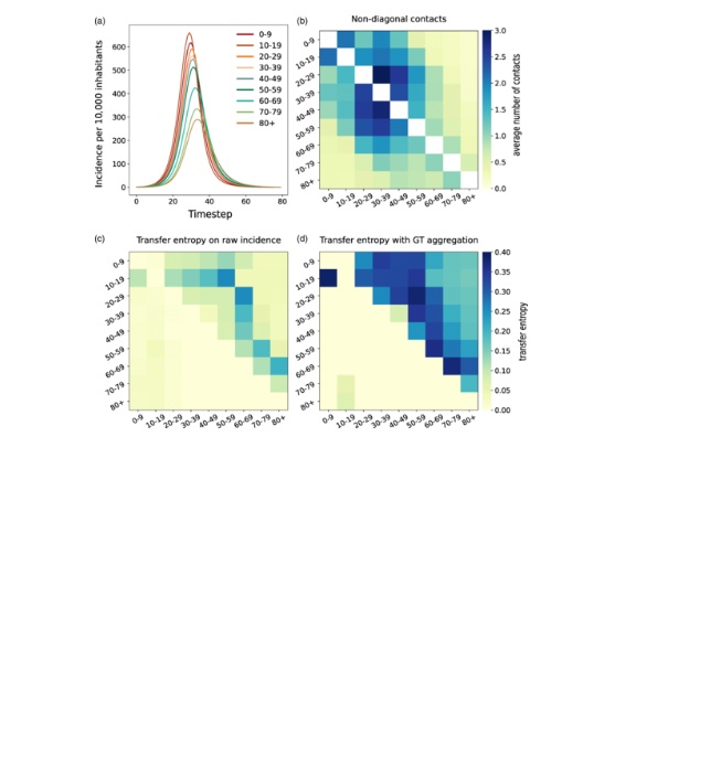 Informational approach to uncover the age group interactions in epidemic spreading from macro analysis.