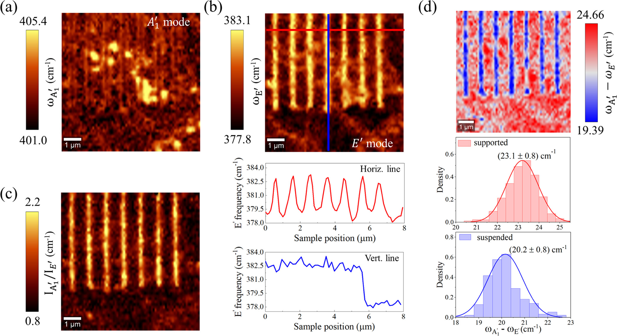 Polarization-dependent plasmon-induced doping and strain effects in MoS2 monolayers on gold nanostructures.