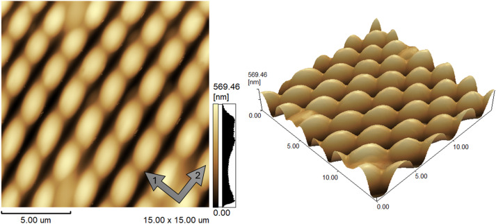 A novel approach for nanometer-scale patterning in PDMS: utilizing micro contact printing for advanced photonic devices.