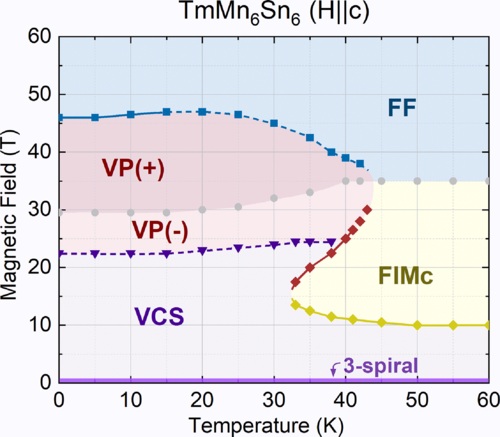 High-field magnetic phase diagrams of the ???Mn6?Sn6 (??=Gd-Tm) kagome metals.