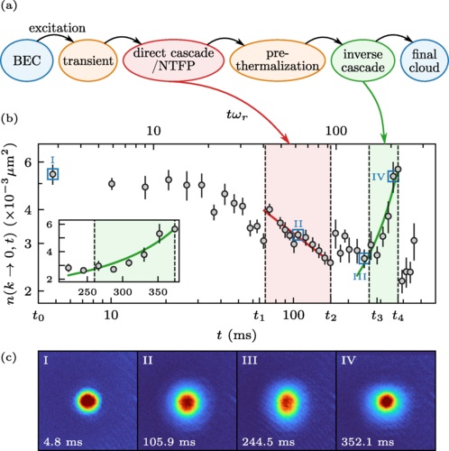 Observation of relaxation stages in a nonequilibrium closed quantum system: decaying turbulence in a trapped superfluid.