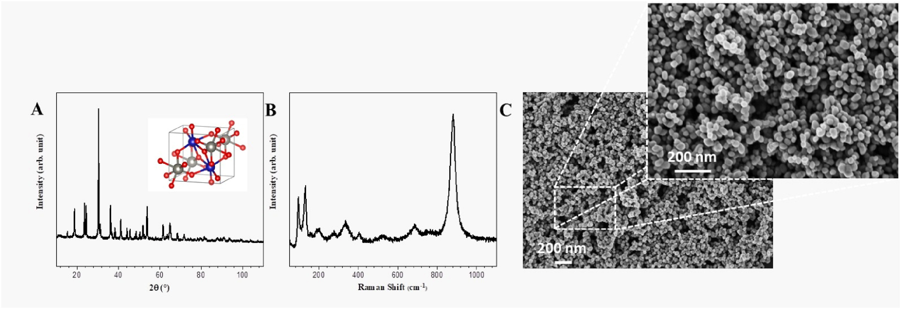 Cobalt tungstate nanoparticles (CoWO4 NPs) affect the photosynthetic performance of the green microalga Raphidocelis subcapitata.