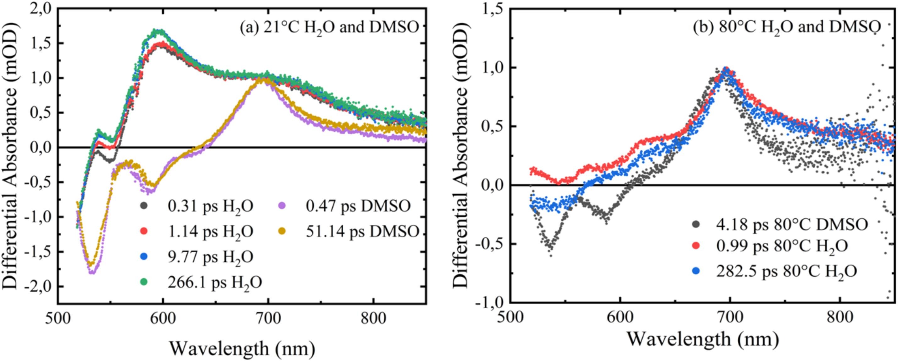 Temperature control of the two-photon brightness and excited state properties of diimide dibenzene sulfonic-acid perylene monomers/aggregates in a binary water-dimethyl sulfoxide solvent mixture.