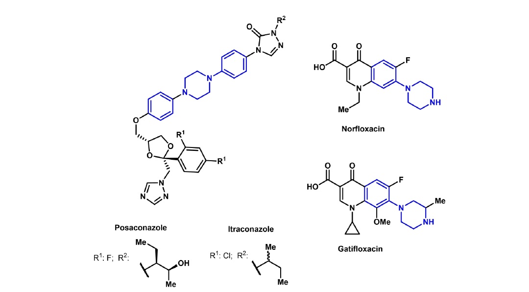 Discovery of arylpiperazines with broad-spectrum antimicrobial activity and favorable pharmacokinetic profiles.