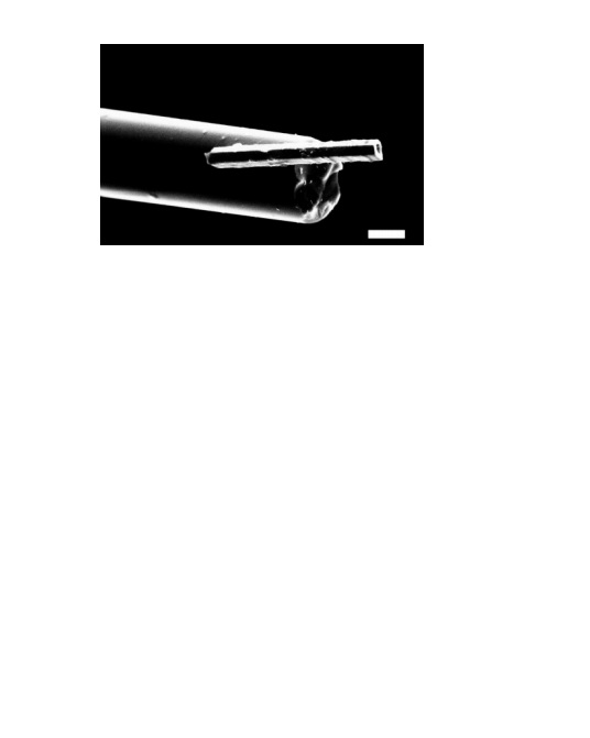 The lithium-rich stannide Li4Rh3Sn5.