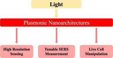 Plasmonic nanoarchitectured systems for biomedical application.