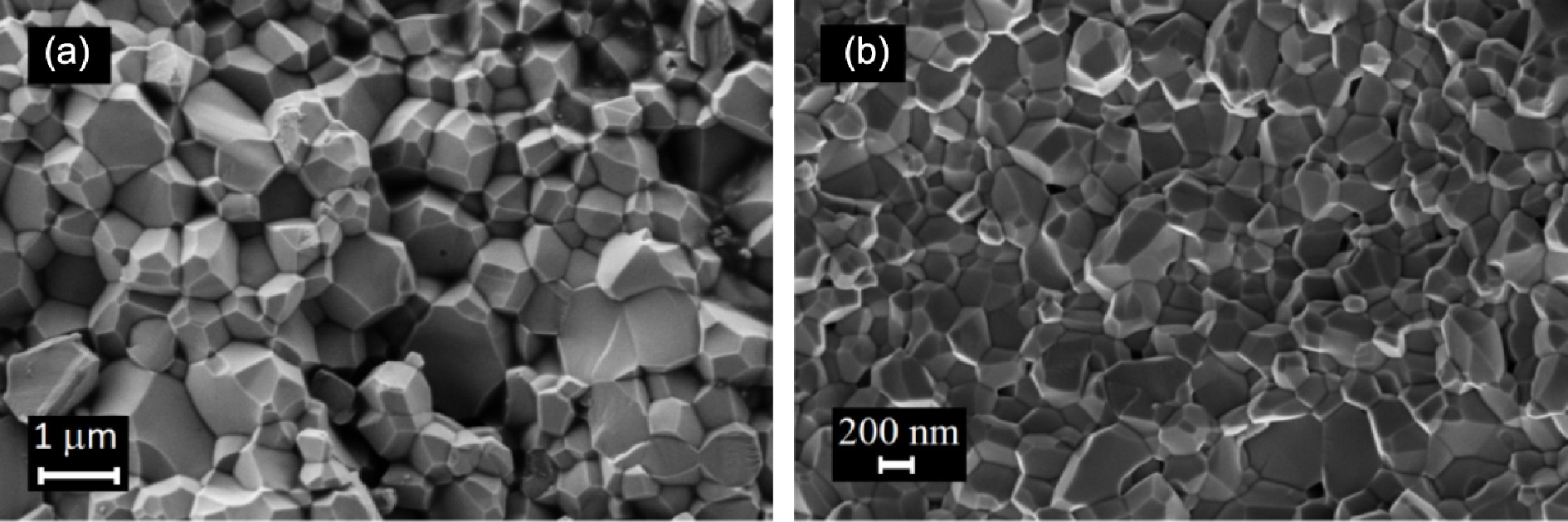 A comprehensive study on flash sintering of anatase and rutile polymorphs-containing titania nanopowder: phase and microstructure development.