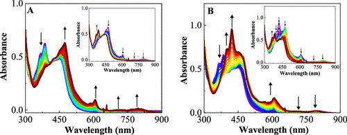 Exploring the reversible equilibrium state between 3CS and 3CSS in a Ru(phen)-naphthalene diimide dyad.