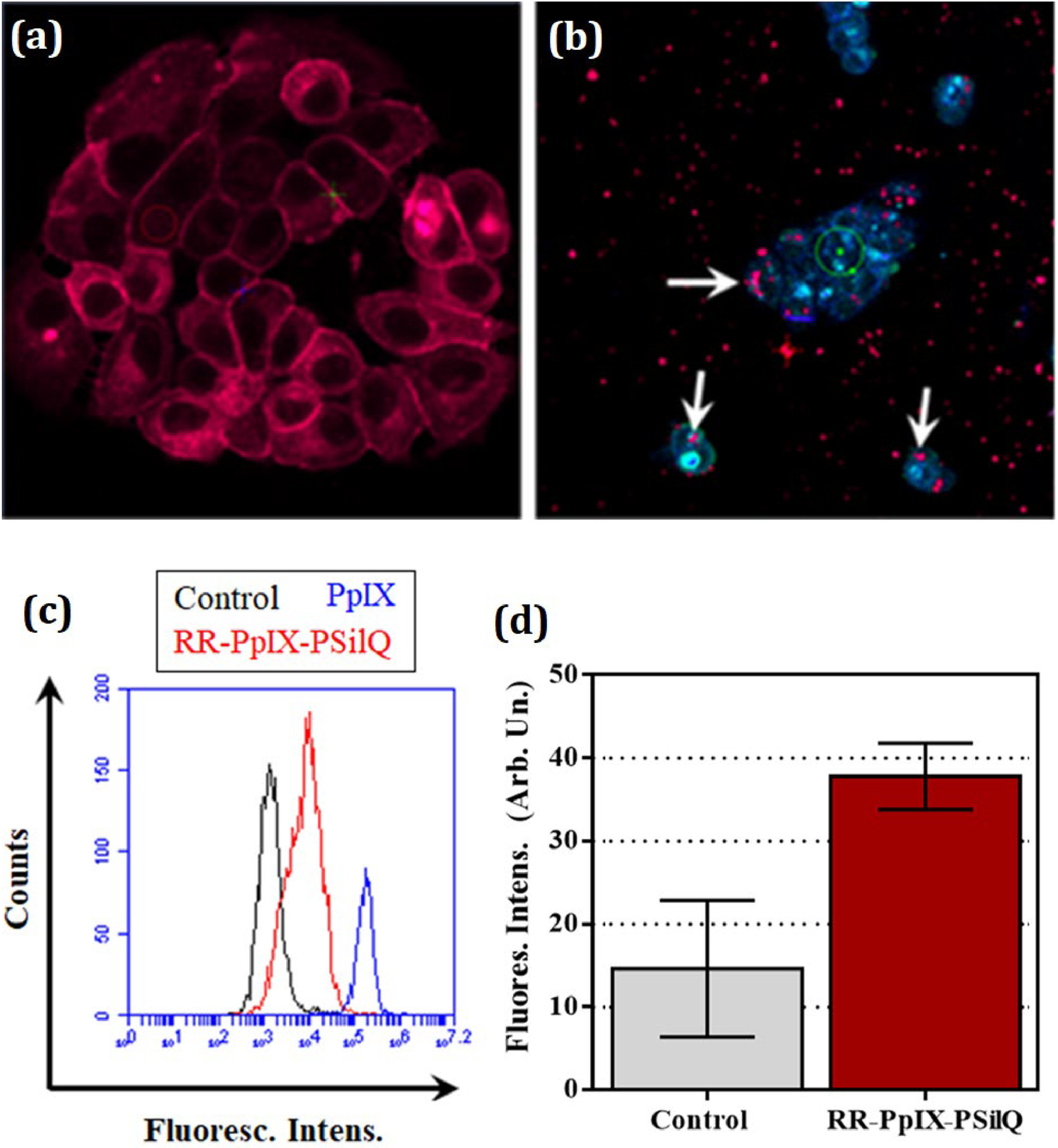 Protoporphyrin IX loaded polysilsesquioxane nanoparticles: photostability and cellular response to photodynamic therapy.