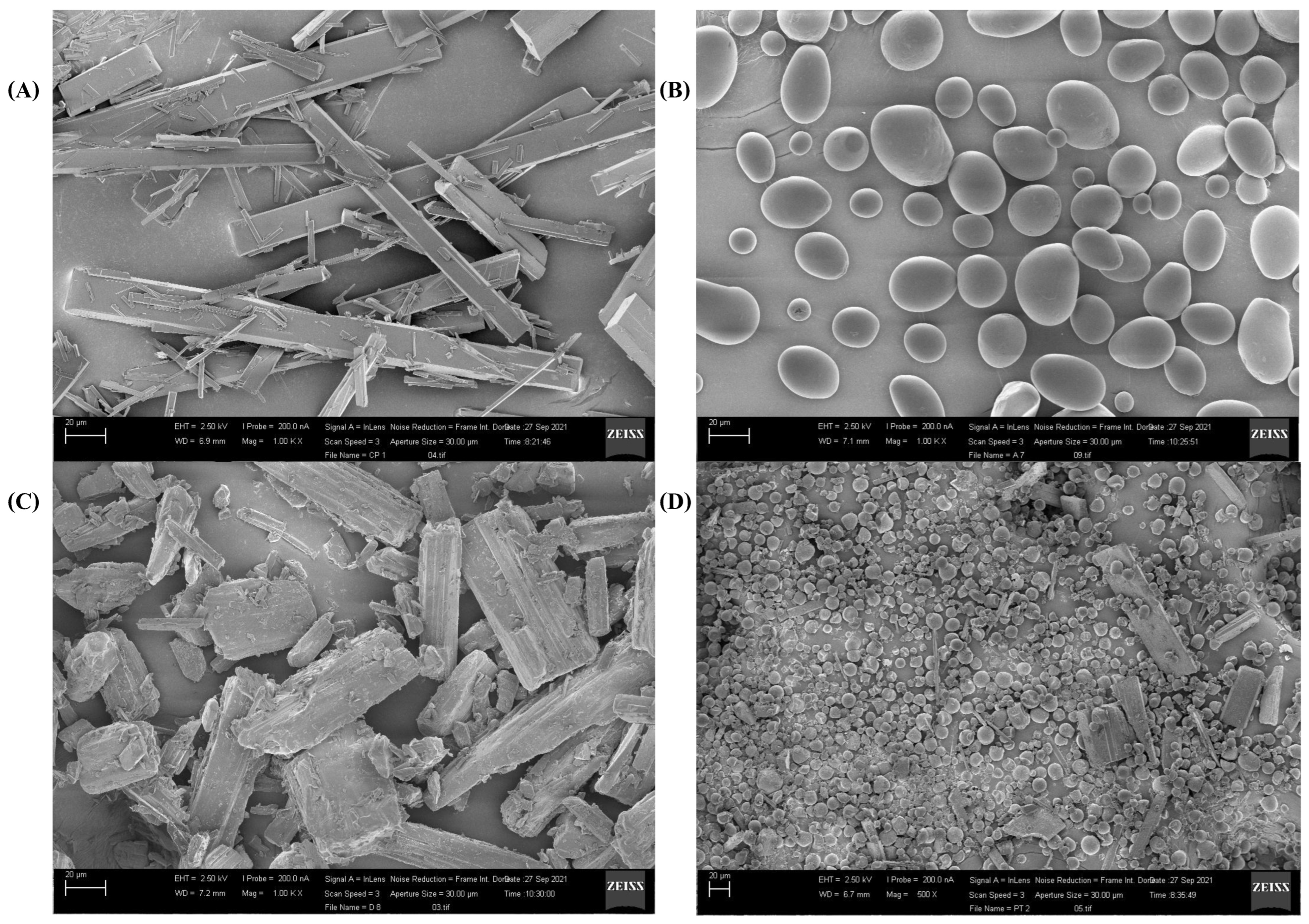Curcumin microcapsule formulations for prolong persistence in the photodynamic inactivation of Aedes aegypti larvae.