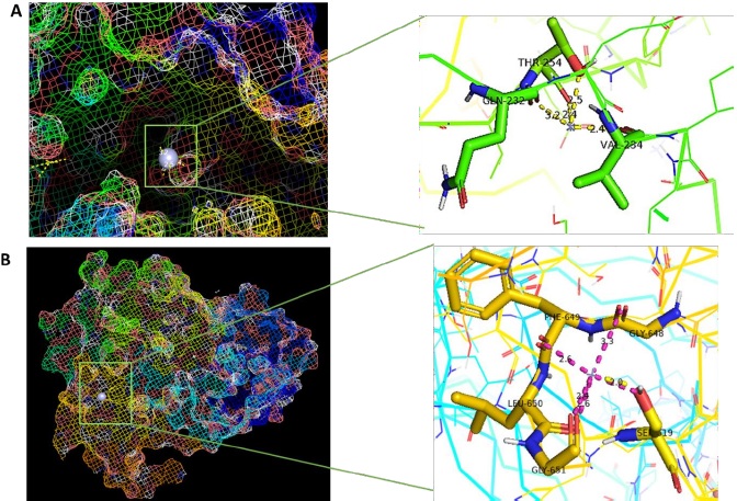 In silico and in vitro evaluation of nano-enhanced therapeutics for diabetes management.