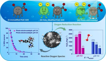 In-situ electrogeneration of H2O2 and hydroxyl radical applied for venlafaxine degradation: a novel strategy using FeSe2-modified carbon gas diffusion electrode.