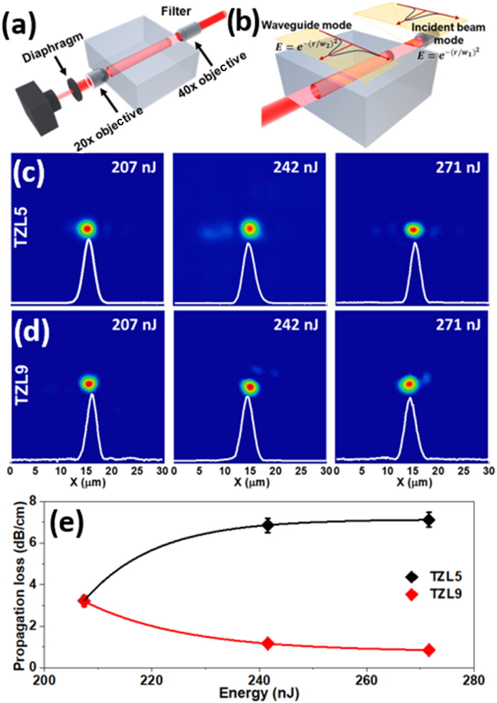 Enhancing waveguide performance in La3+-doped tellurite glasses: energy-induced structural tuning for reduced propagation loss.