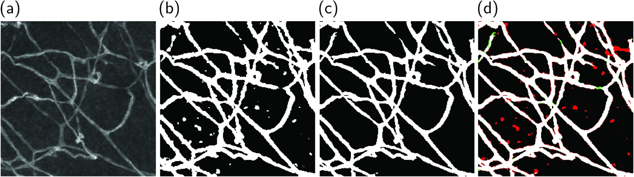 A new dataset for measuring the performance of blood vessel segmentation methods under distribution shifts.