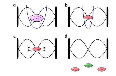 Coherent deflection of atomic samples and positional mesoscopic superpositions.